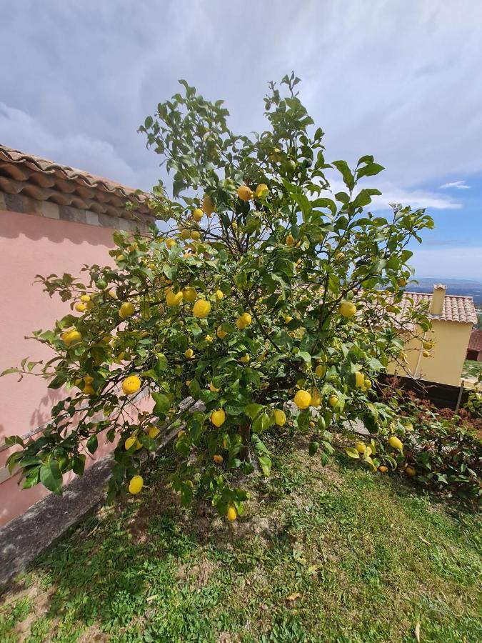 Adorable Maison Independante 30M2 Avec Piscine En Saison Cabris Eksteriør billede